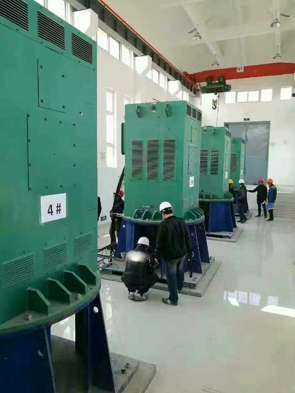 YKK7107-12某污水处理厂使用我厂的立式高压电机安装现场